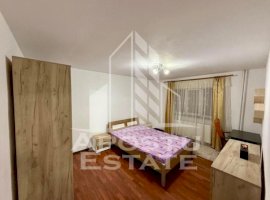 Apartament o camera, recent renovat, AEM