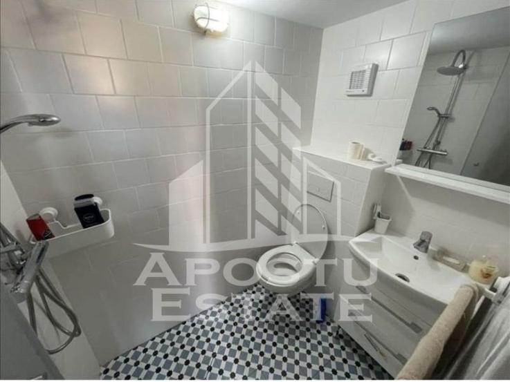 Apartament 2 camere + garsoniera, garaj, renovat complet, Badea Cartan