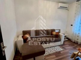 Apartament 2 camere, in curte privata,zona Fabric/Lunei