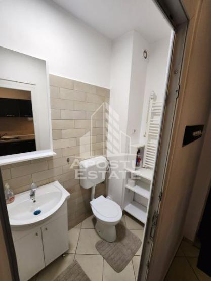 Apartament cu 1 camera , la parter , centrala pe imobil, zona Lipovei