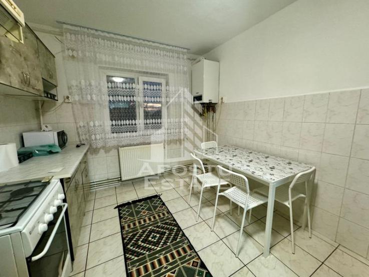 Apartament cu 3 camere, 2 băi, petfriendly, centrala proprie, Aradului