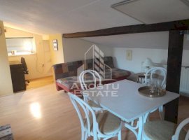 Apartament 2 camere, centrala proprie, clima, Zona Blascovici