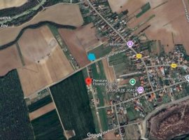 Teren intravilan 2078 mp langa padure - Piscu Ciolpani Snagov