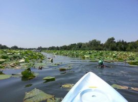 TEREN SILISTEA SNAGOVULUI 2600 mp iesire LAC