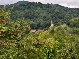 Vila cu poveste Fantanele, Sibiu