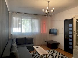 Apartament Ion Mihalache-Chibrit
