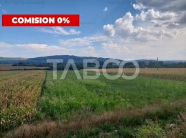 Teren extravilan agricol 5265 mp utilitati in zona Oarda de Jos Alba