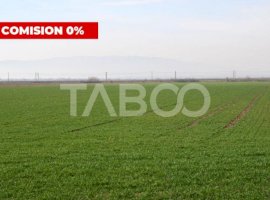 Teren extravilan agricol 5.265mp utilitati front 48ml Oarda Alba Iulia