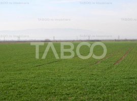 Teren extravilan agricol 12000 mp utilitati in zona Pianu de Jos Alba