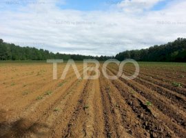 Teren extravilan agricol 12.000 mp utilitati in zona Pianu de Jos Alba