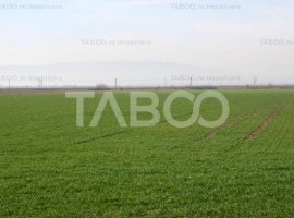 Teren extravilan agricol 12.000 mp utilitati Pianu de Jos Alba