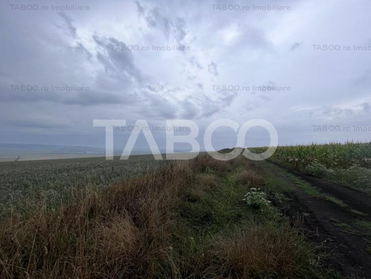 Teren de vanzare extravilan 30000 mp Sura Mare Sibiu