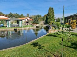 Vila de lux cu iaz si piscina zona rezidentiala de vanzare in Sebes