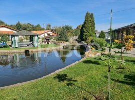 Vila de lux cu iaz si piscina zona rezidentiala de vanzare in Sebes