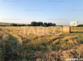 63 hectare de teren comasate de vanzare zona Viile Sibiului din Sibiu