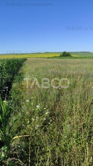 Teren extravilan de vanzare 25920 mp in Sura Mica Sibiu