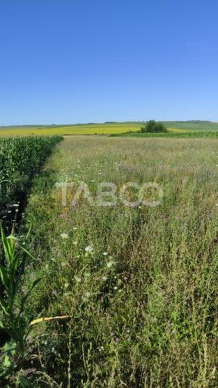 Teren extravilan de vanzare 25920 mp in Sura Mica Sibiu