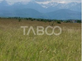 Teren extravilan de vanzare 77400 mp 20 euro/mp Valea Avrigului Sibiu