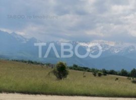 Teren de vanzare extravilan 10000 mp 20 euro/mp Valea Avrigului Sibiu