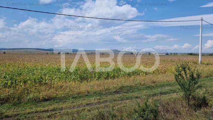 Teren de vanzare extravilan 28000 mp in Sura Mica judetul Sibiu