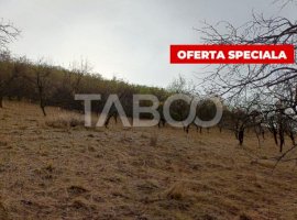 Teren extravilan parcelabil 8.500 mp pretabil cabana zona Inuri Alba