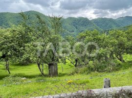 Teren intravilan de vanzare in Martinia de sus