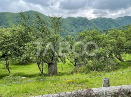 Teren intravilan de vanzare in Martinia de sus