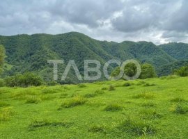 Teren intravilan de vanzare in Martinia de sus