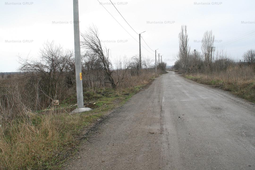 OTOPENI - Str. Drumul Garii Balotesti, 60.950 mp. teren in zona construibila