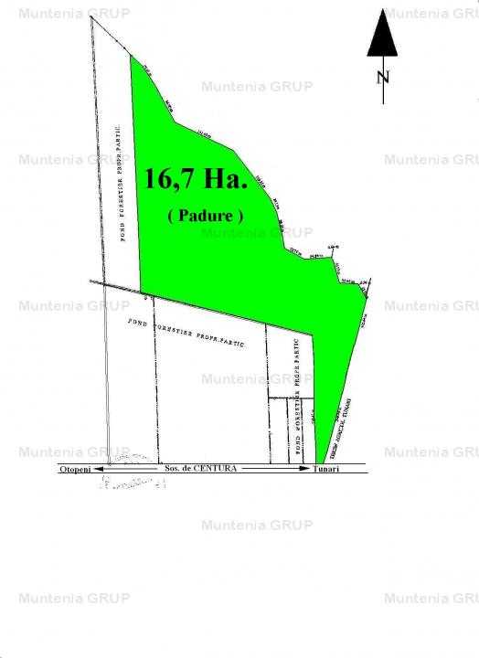 TUNARI - Centura Bucuresti, 16,7 Ha. teren (padure de peste 100 ani)