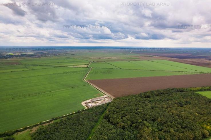 Teren Pășune Impădurită 289 hectare