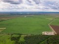 Teren arabil de 1074 hectare în Ialomița