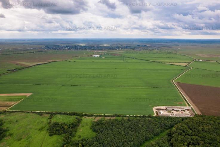 Teren arabil de 1080 hectare în Tulcea