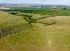 Teren arabil de 349 hectare în Buzău