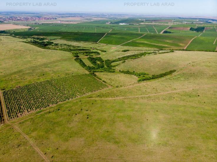 Teren arabil de 2009 hectare în Mureş
