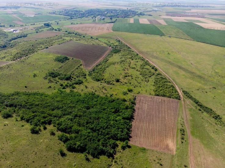 Teren arabil de 316 hectare în Olt