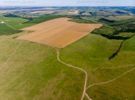 Teren arabil de 62 hectare în Prahova
