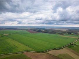 Teren arabil de 174 hectare în Călărași