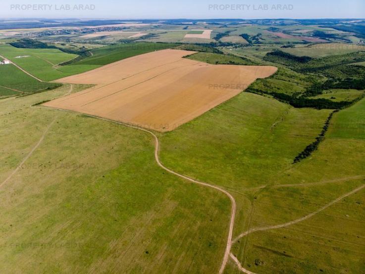 Teren arabil de 1284 hectare în Botoșani