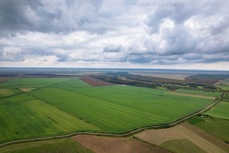 Teren arabil de 477 hectare în Arad