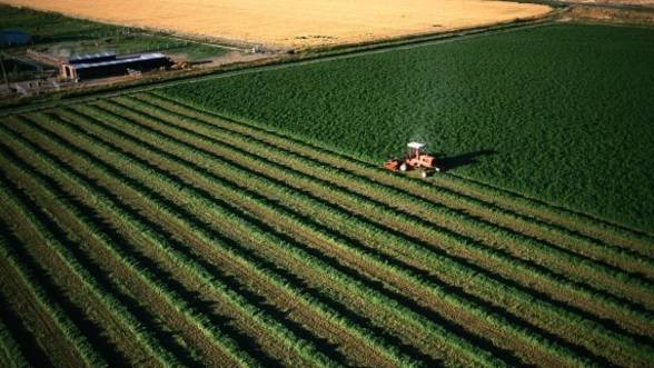 Preturile terenurilor agricole din Romania, in crestere cu 60%